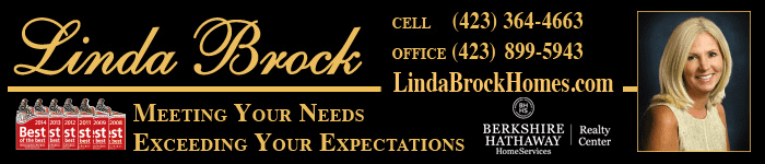 LBrock.CS2015.web